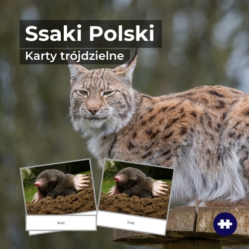 ssaki Polski