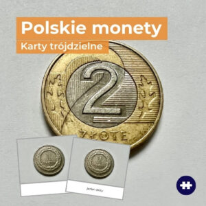 polskie monety nominały