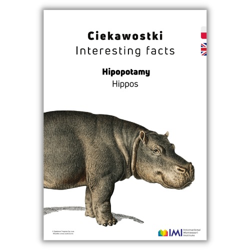 ciekawostki o hipopotamach