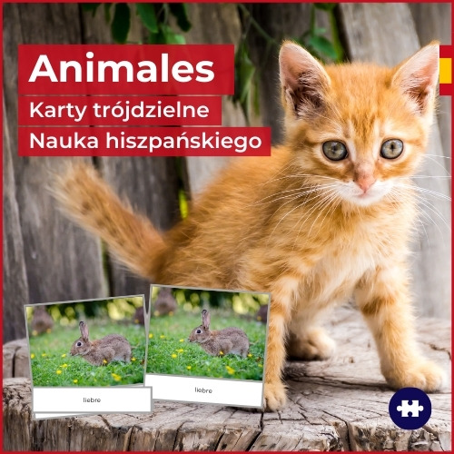 animales zwierzęta po hiszpańsku
