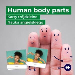 human body parts - części ciała po angielsku