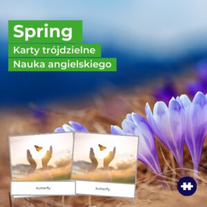 Spring – wiosna po angielsku