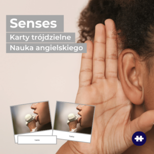zmysły - senses po angielsku
