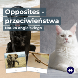 opposites - przeciwieństwa po angielsku dla dzieci